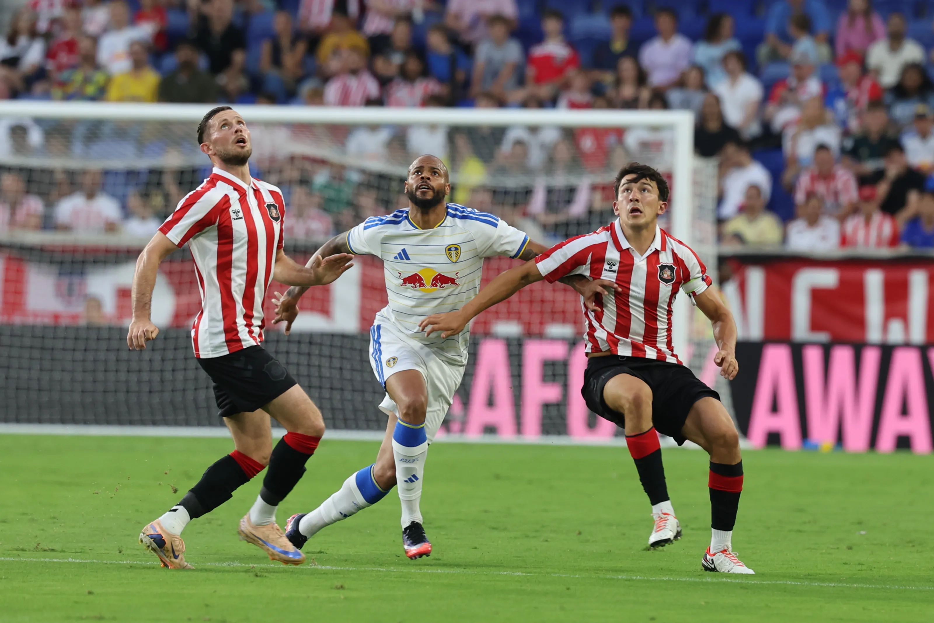 Sunderland AFC vs Brighton & Hove Albion FC — Stadium of Light, Sunderland
