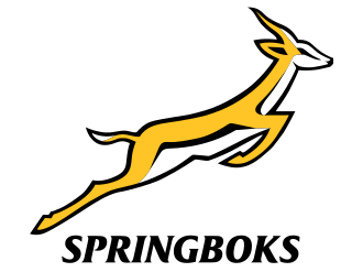 Springboks vs All Blacks — FNB Stadium, Johannesburg