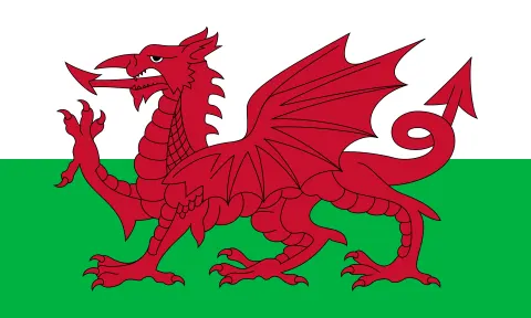 Wales vs Portugal — Cardiff City Stadium, Cardiff