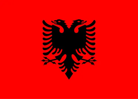 Albania vs Finland — Air Albania Stadium, Tirana